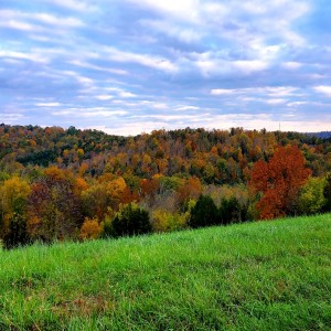 The Open Road... Endless Fall🍁pportunities