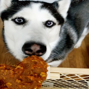 Apple Pumpkin Treats 🎃🍎😁🐾