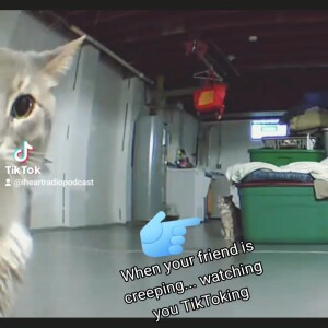 BUSTED Pretending Your ALONE!?.😔🙁🐱🤣😂
