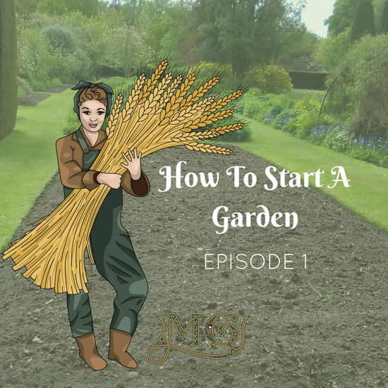 How To Start A Garden