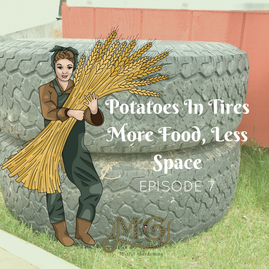 Growing Potatoes In Tires