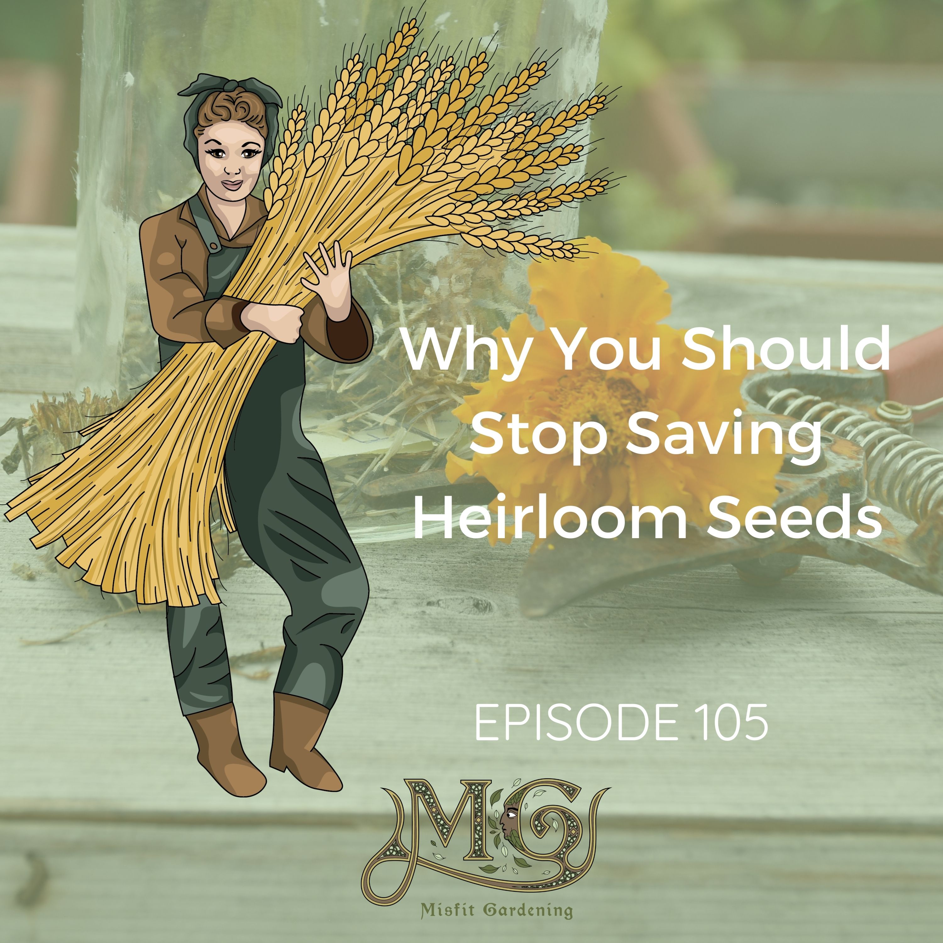 Homesteading & Gardening In The Suburbs With Misfit Gardening