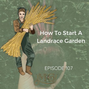 How To Start A Landrace Garden Seed Breeding Project