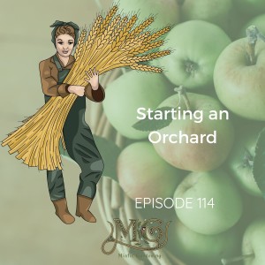 Starting An Orchard