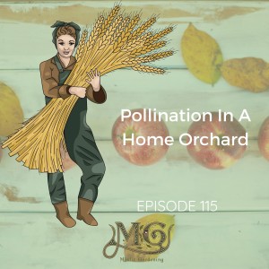 Pollination In A Home Orchard