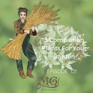 5 Companion Plants For Your Garden