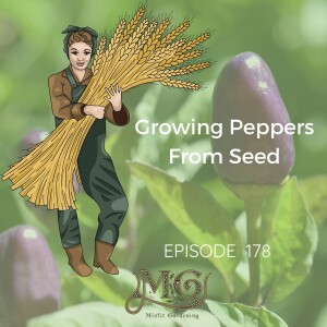 How To Grow Peppers From Seeds