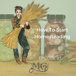 How To Start Homesteading