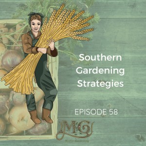 Southern Gardening Strategies For Success