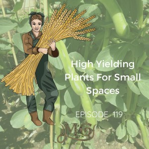 High Yielding Plants For Small Gardens
