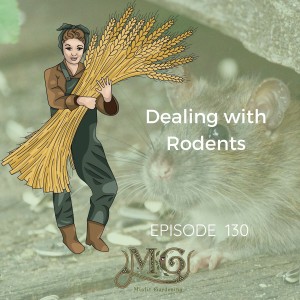 Dealing With Rodents