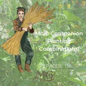More Companion Plant Combinations