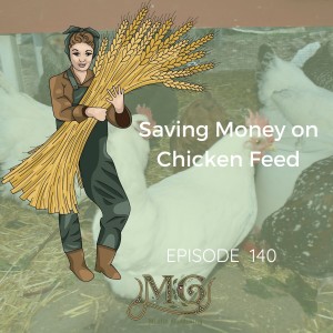 Hot To Save Money Raising Chickens