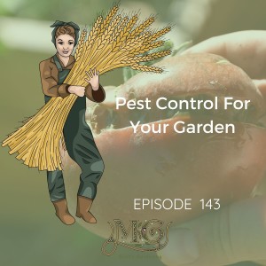 Pest Control Strategies To Try In Your Garden