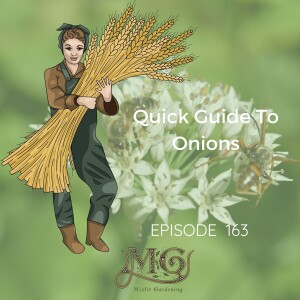 Quick Guide To Growing Onions