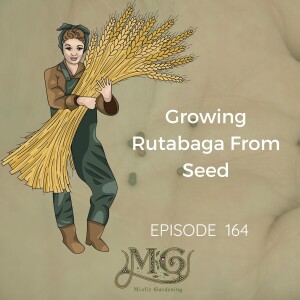 How To Grow Rutabaga From Seed