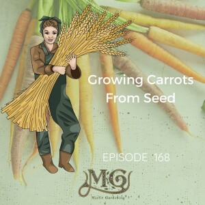 How To Grow Carrots From Seed