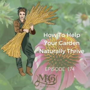 How To Help Your Garden Thrive