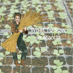 What To Sow In March?