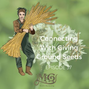Connecting With Giving Ground Seeds