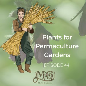 15 Plants for Permaculture Gardens
