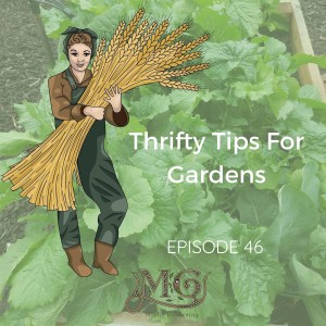 Thrifty Tips For Gardens