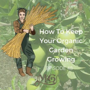 How To Keep Your Organic Garden Growing In Tip Top Condition