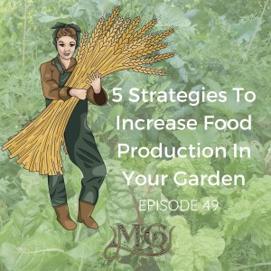 5 Strategies To Increase Food Production In Your Garden