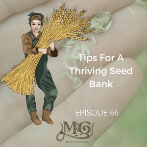 Tips For A Thriving Seed Bank