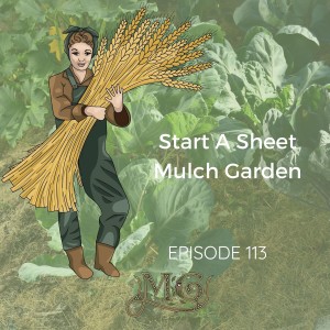 How To Make A Sheet Mulch Garden