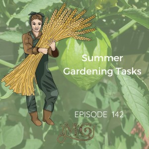 Gardening Tasks For Summer