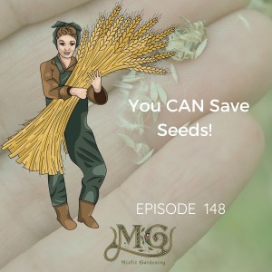 Easy Seeds To Save At Home