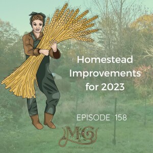 Homestead Improvements And Garden Experiments