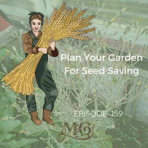 Planning Your Garden For Seed Saving