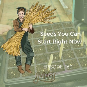 Seeds To Start In Late January And Early February