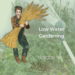 Low Water Gardening