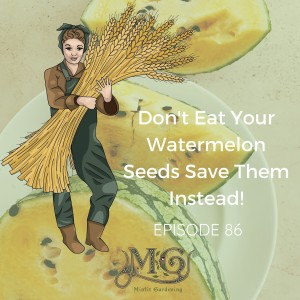 Don’t Eat Your Watermelon Seeds!