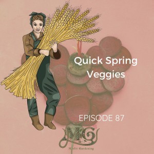 Quick Spring Vegetables For Beginner Gardeners