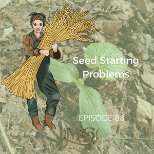 Common Seed Starting Problems