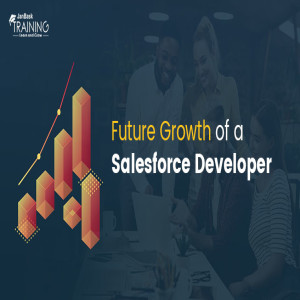 Salesforce Developer Day To Day Activities