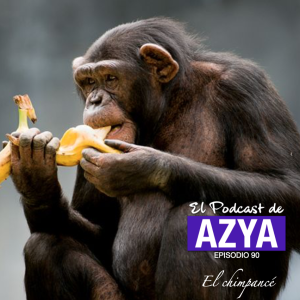 Episodio 92- El chimpancé