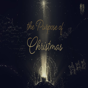 Thom Shafer "The Purpose of Christmas 4 of 4"