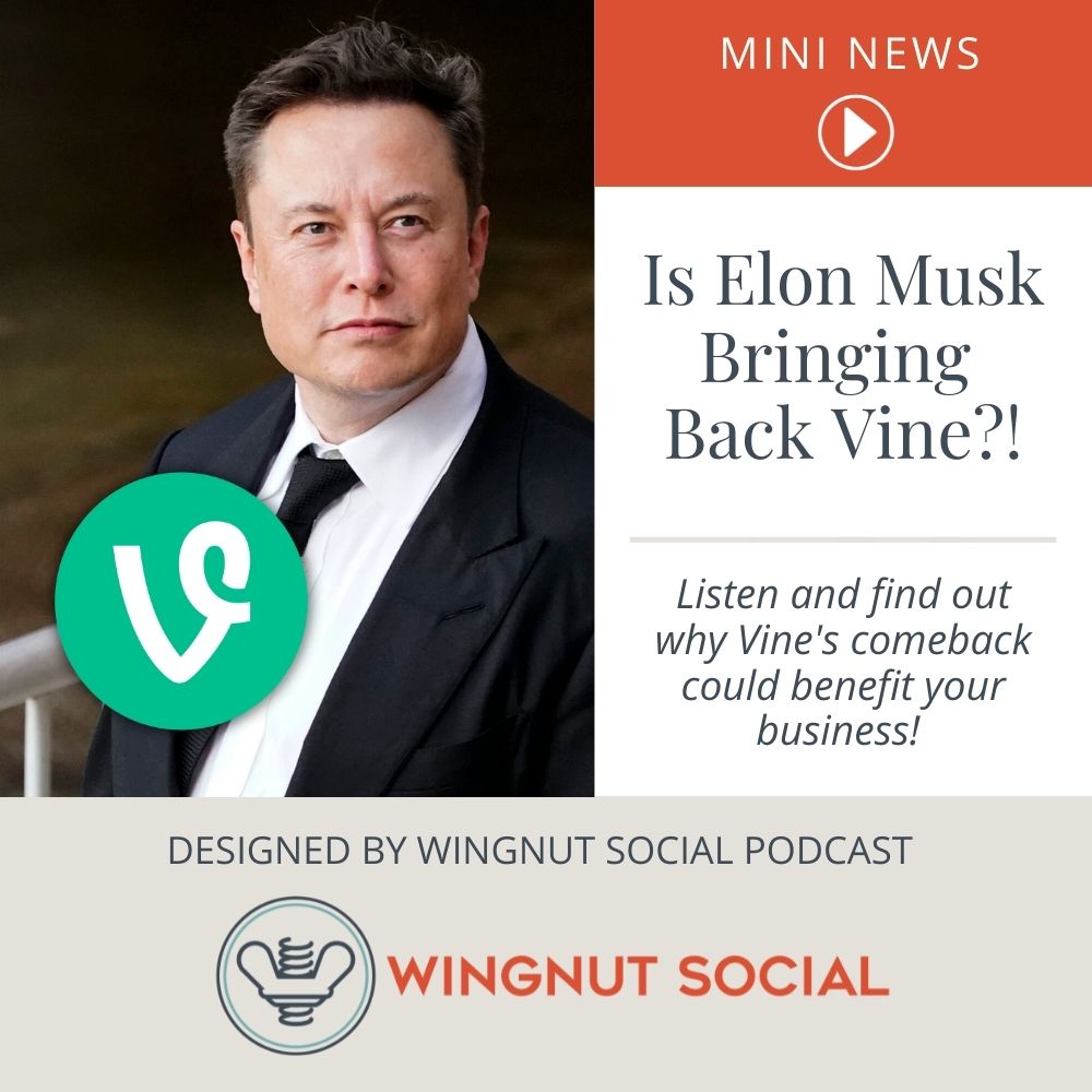 Is Elon Musk Bringing Back Vine?! | Mini News