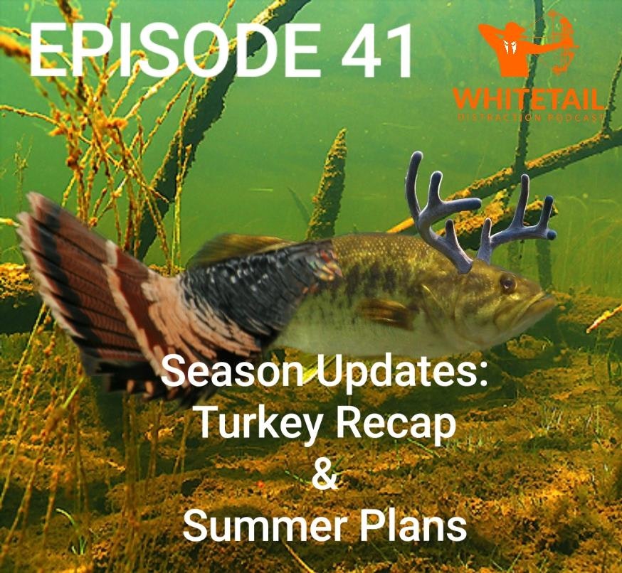 The Whitetail Distraction Podcast