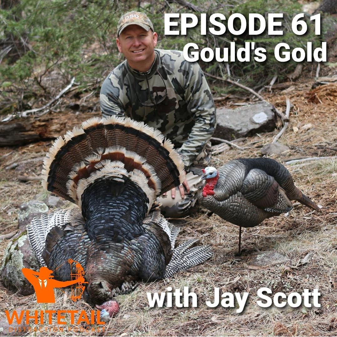 The Whitetail Distraction Podcast