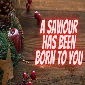 Luke 2: 10-11 - A Saviour has been born to you.