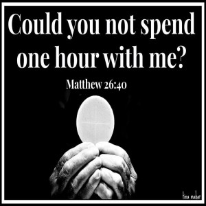 Exposition and Benediction of the Blessed Sacrament Part 4 - Understanding Exposition and Benediction 