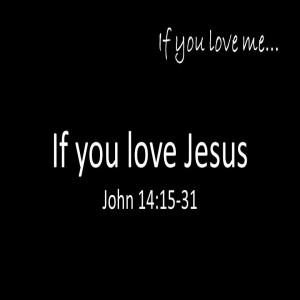If you love Jesus...