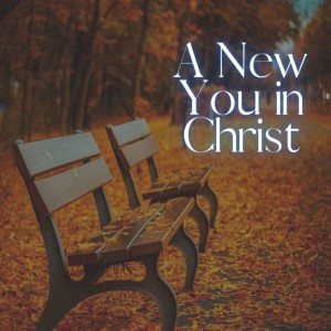 A New You in Christ - A Balanced Life