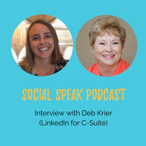 Interview with Deb Krier with The Business Power Hour